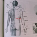 Authentieke Chinese Tuina(50 minuten)